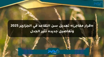 «قرار مفاجئ» تعديل سن التقاعد في الجزائر 2025 وتفاصيل جديدة تثير الجدل